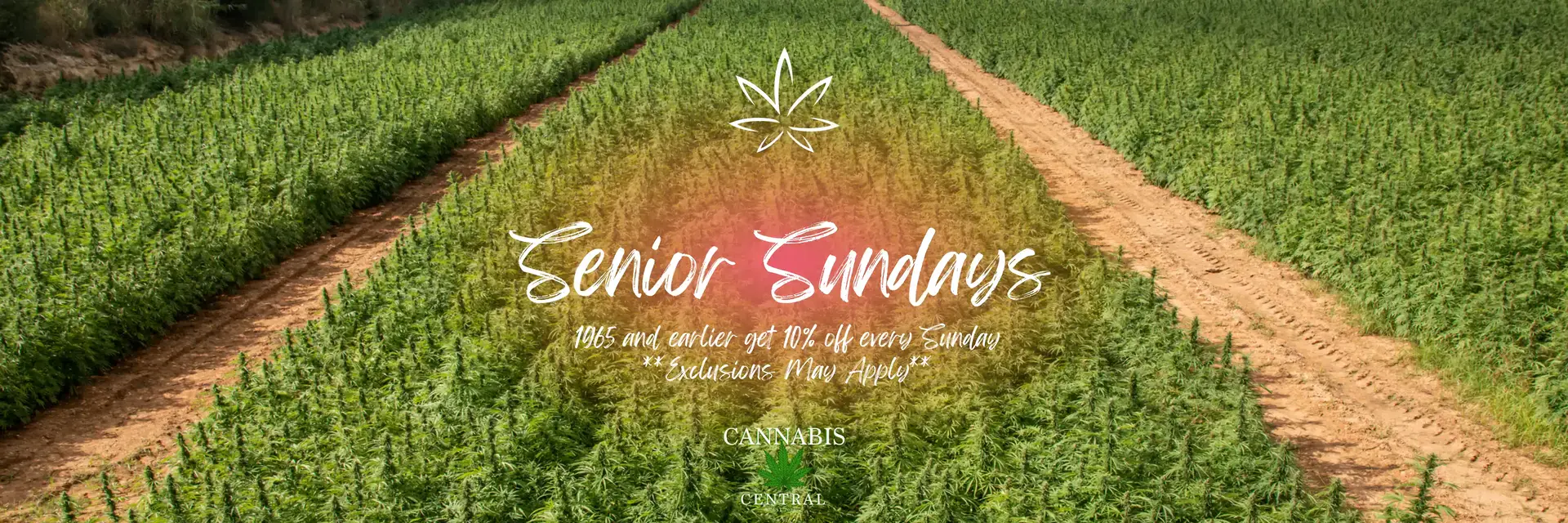 senior sundays promotion